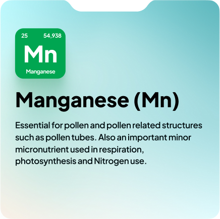 Mn