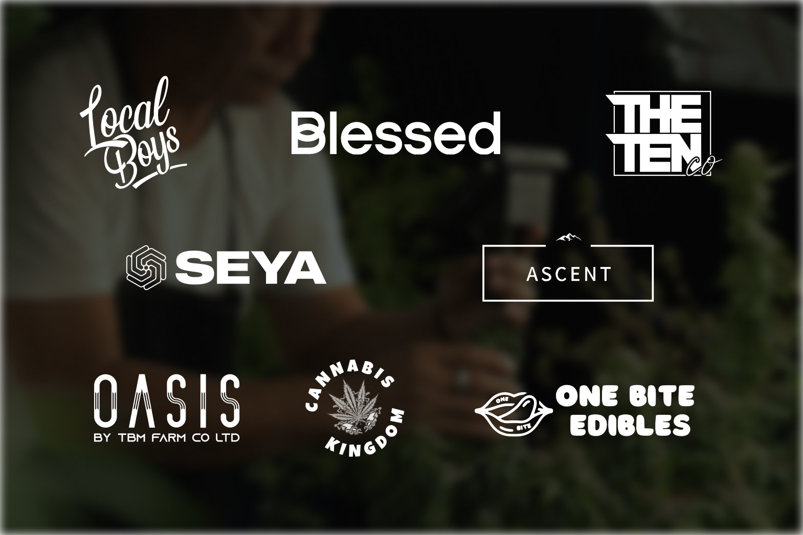 Brands Thumbnail