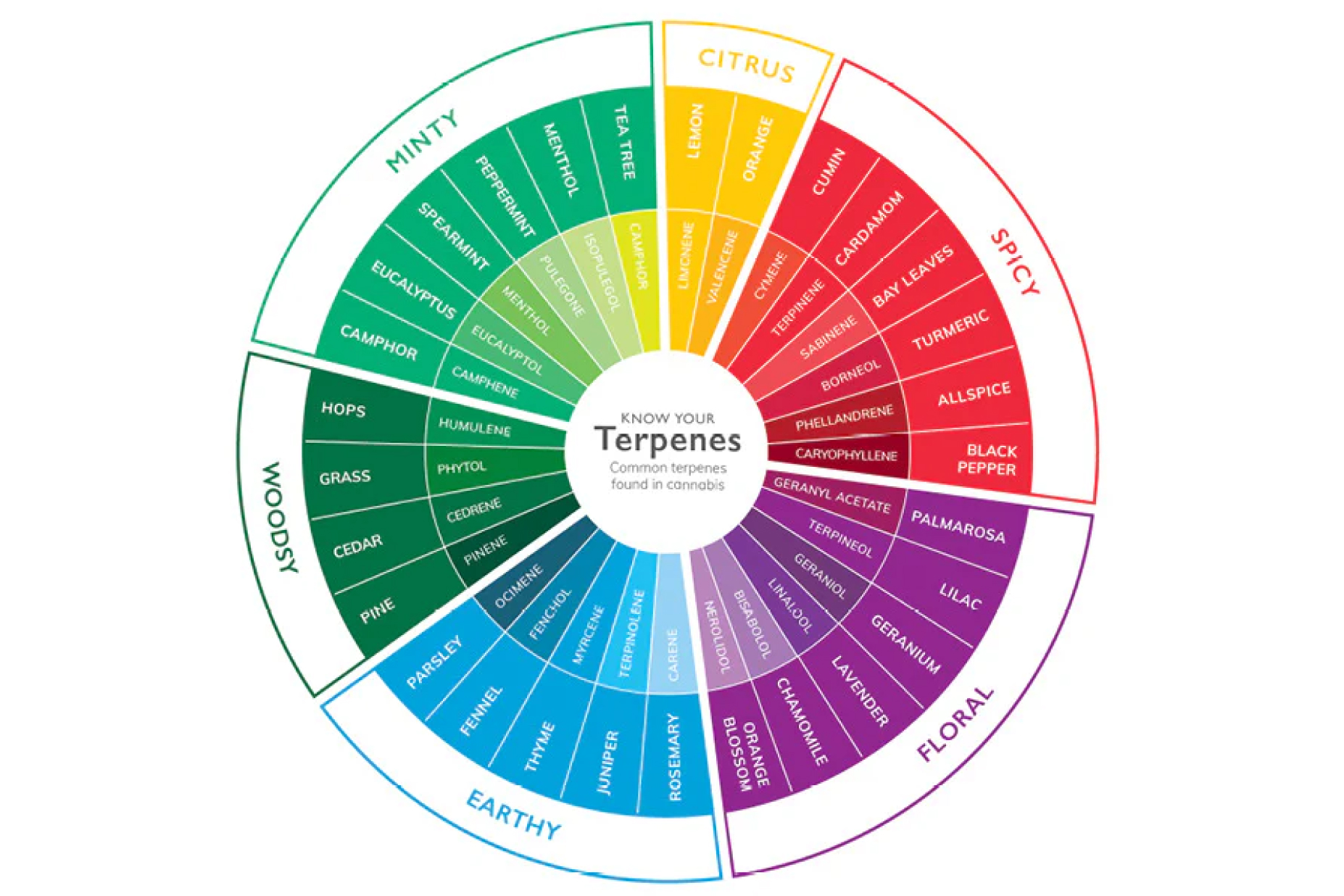Terpene Wheel